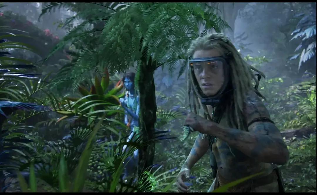 美国北好莱坞_北美票房_