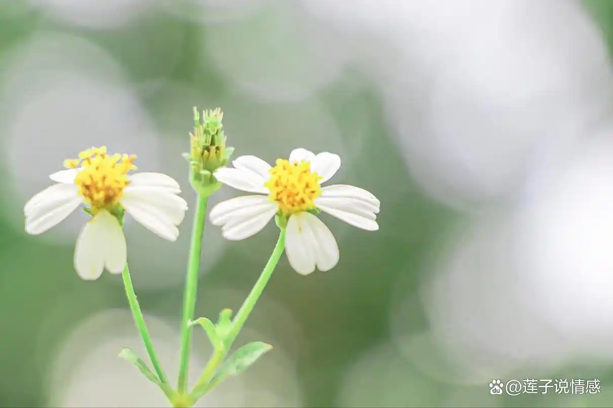 女生有好感下意识的暗示__女人好感会有这几种表现