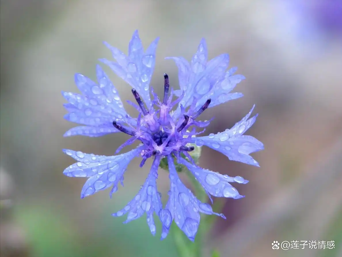 _女人好感会有这几种表现_女生有好感下意识的暗示