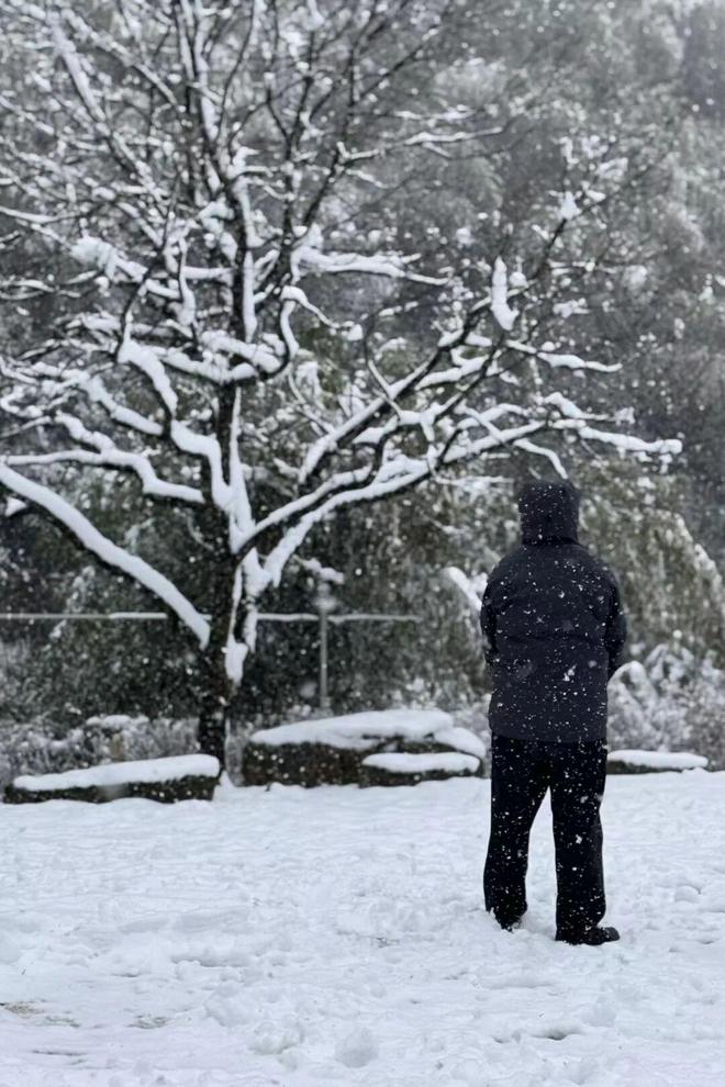 2026年大杭州的第一场雪，如期而至！“美翻了”！__2026年大杭州的第一场雪，如期而至！“美翻了”！