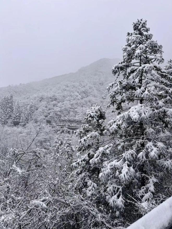 _2026年大杭州的第一场雪，如期而至！“美翻了”！_2026年大杭州的第一场雪，如期而至！“美翻了”！