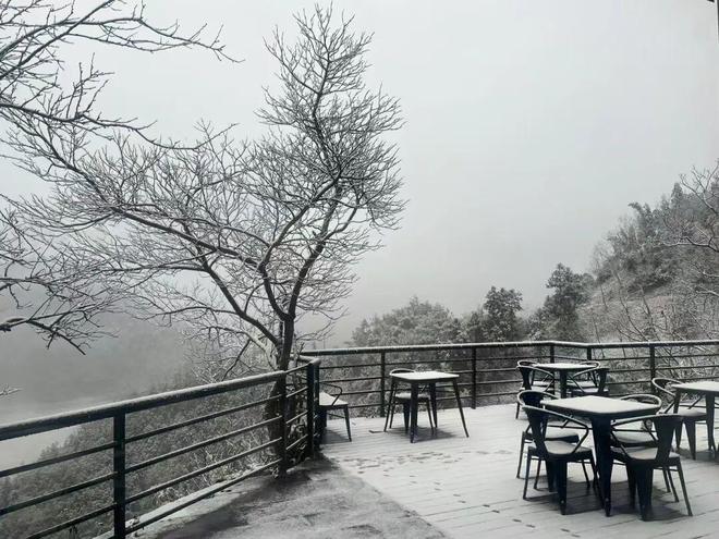 2026年大杭州的第一场雪，如期而至！“美翻了”！_2026年大杭州的第一场雪，如期而至！“美翻了”！_