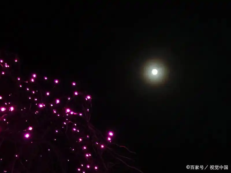 _愿意一人心_一人愿得一人心