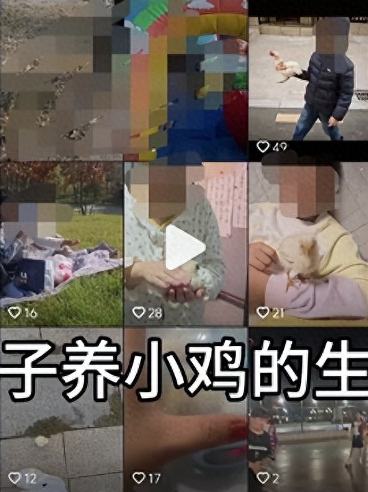 热搜上细思恐极的“我的朋友在锅里”：病态现象害惨多少中国孩子_热搜上细思恐极的“我的朋友在锅里”：病态现象害惨多少中国孩子_