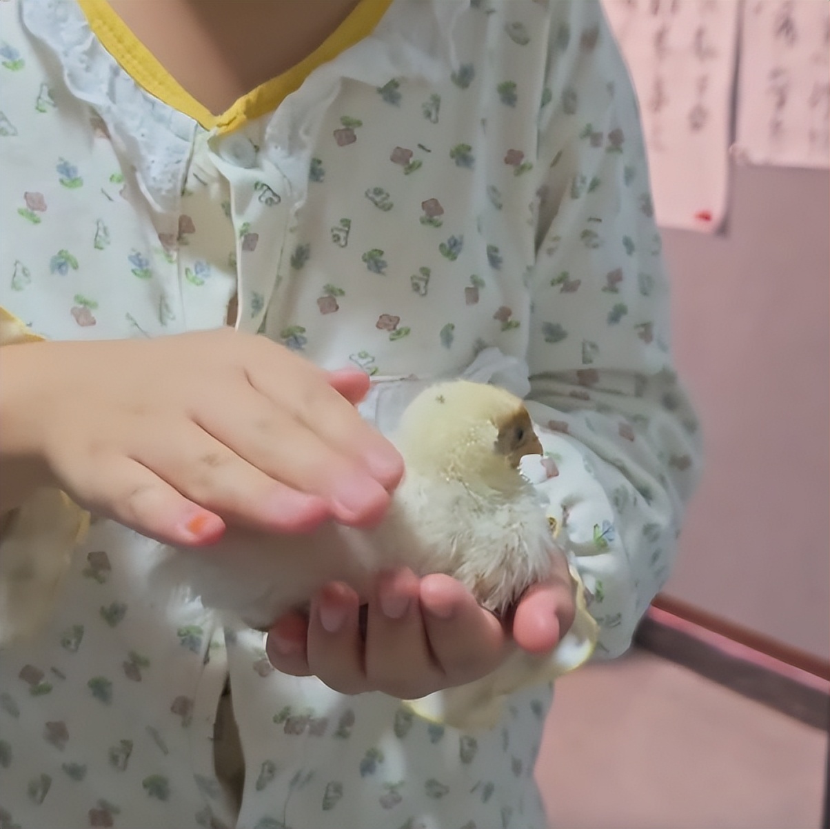 _热搜上细思恐极的“我的朋友在锅里”：病态现象害惨多少中国孩子_热搜上细思恐极的“我的朋友在锅里”：病态现象害惨多少中国孩子