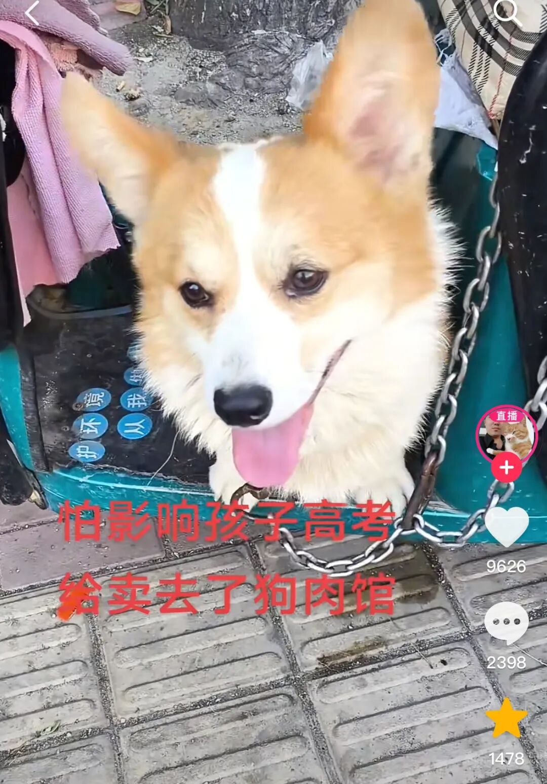 热搜上细思恐极的“我的朋友在锅里”：病态现象害惨多少中国孩子__热搜上细思恐极的“我的朋友在锅里”：病态现象害惨多少中国孩子