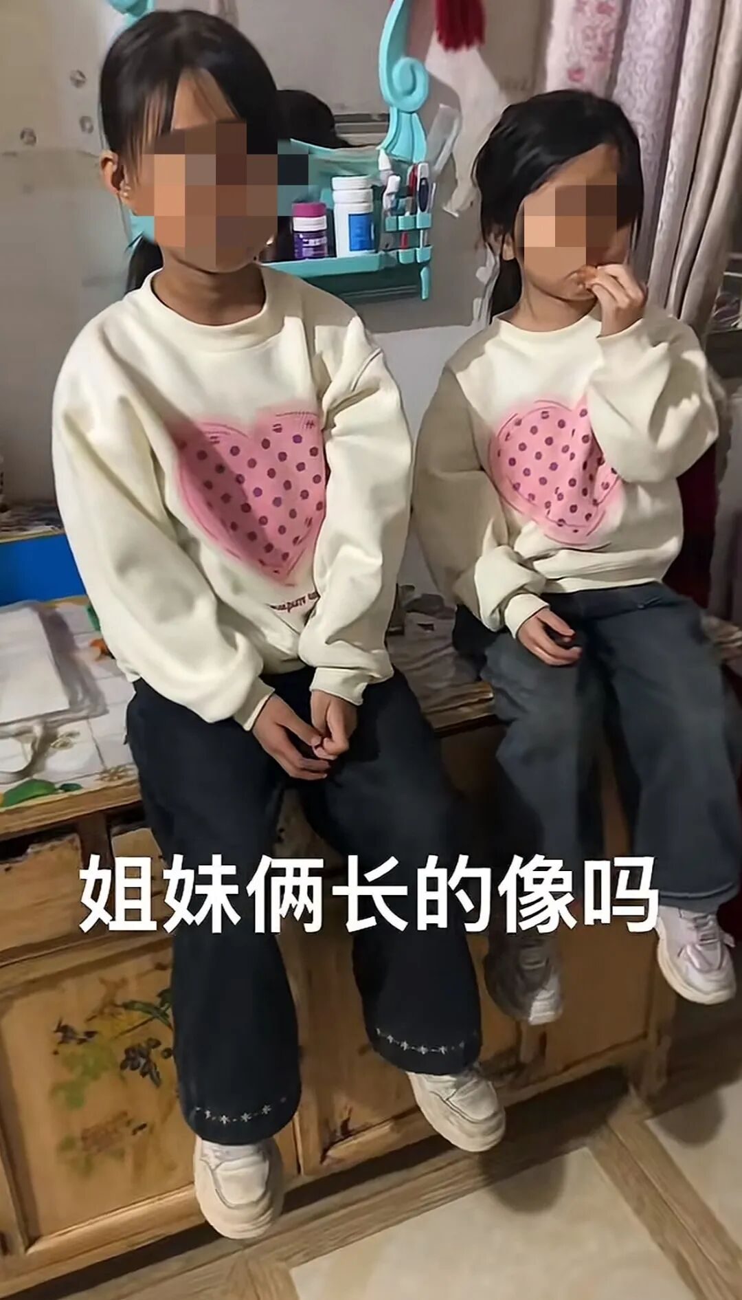 _奶油蛋糕什么意思污_搜爆搜毒犬训练