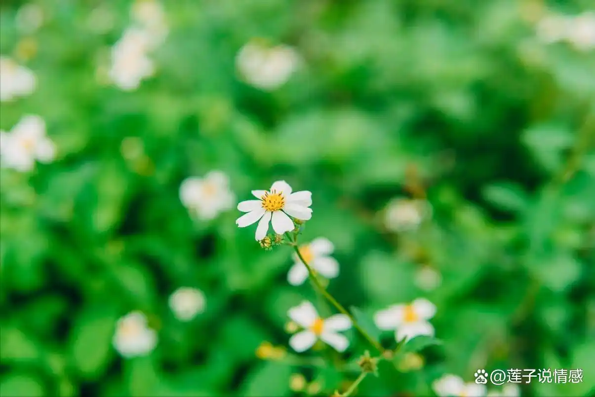 女人的选择没有绝对_女人坚定的选择你_