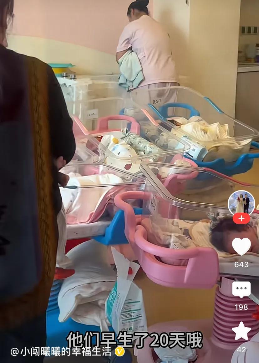 小闯和曦曦：产后住月子中心，头一次见宝宝群养 网友：父母真心大_小闯和曦曦：产后住月子中心，头一次见宝宝群养 网友：父母真心大_