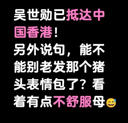 猪头哥是哪个明星_韩国知名明星露点图片_