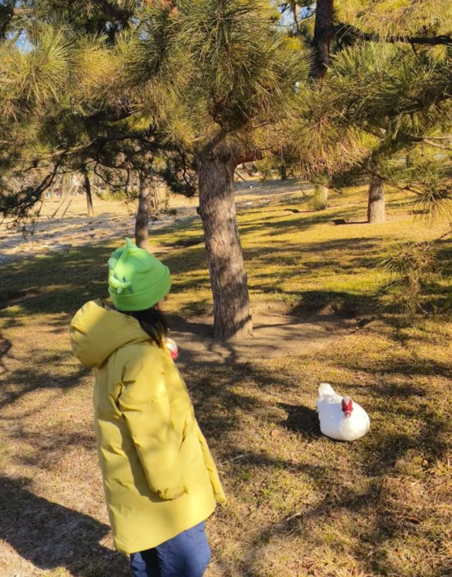 王传君周一围身高__王传君身高