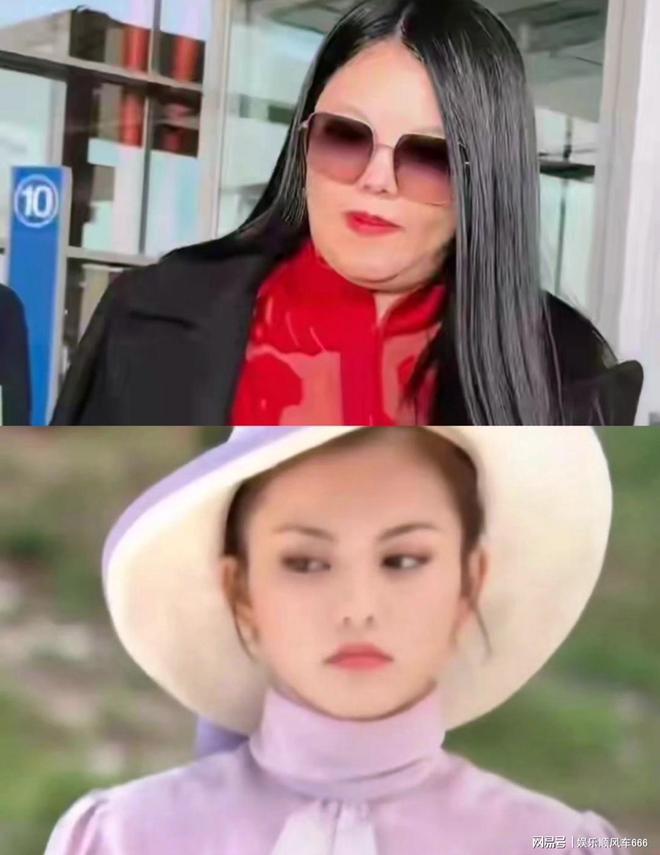 李湘夫妇上真人秀__李湘夫妇综艺