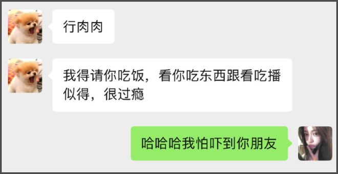 _候选自我介绍_安多政教史