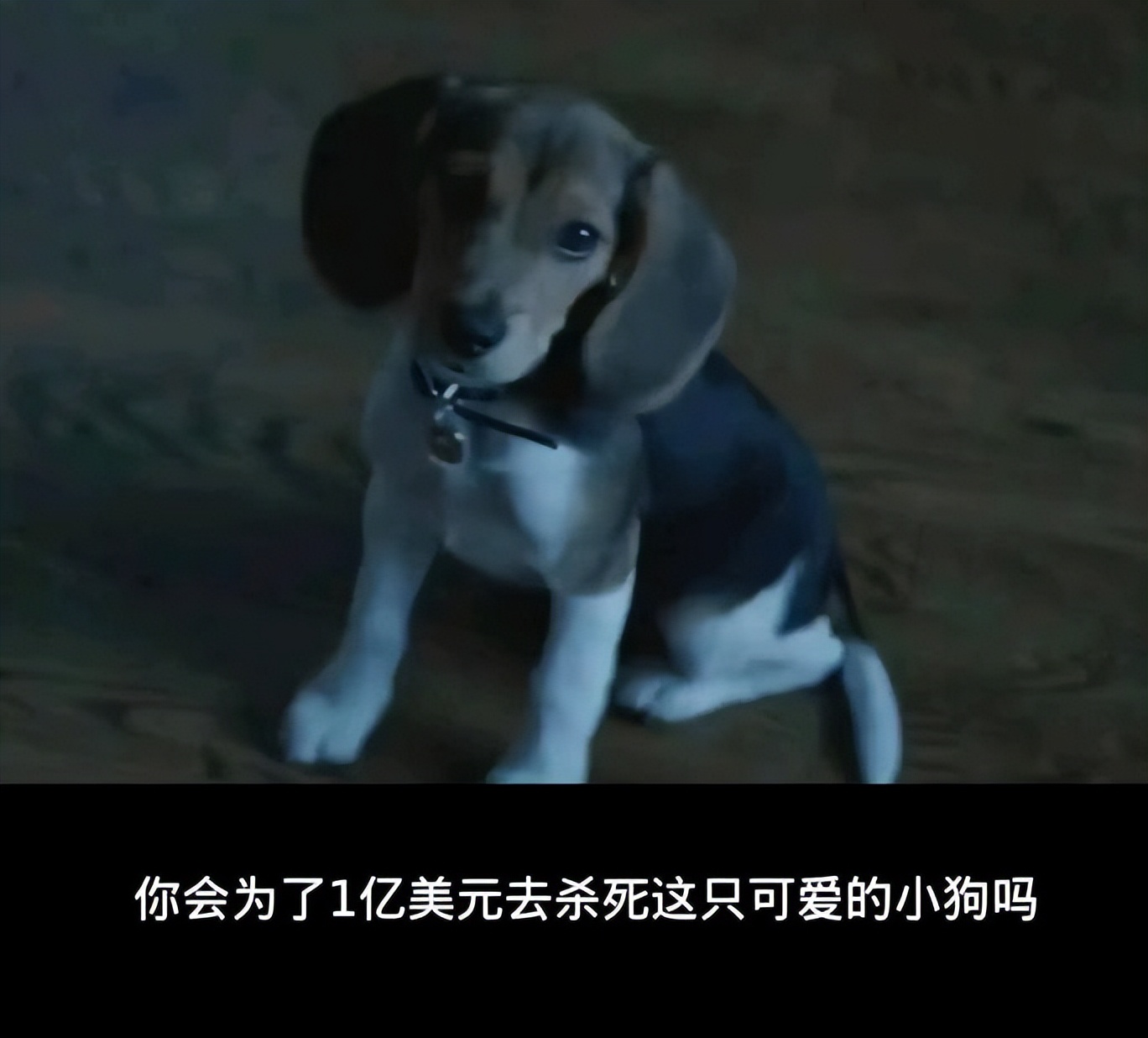 _大卫大可以故事_大卫动画片大全视频