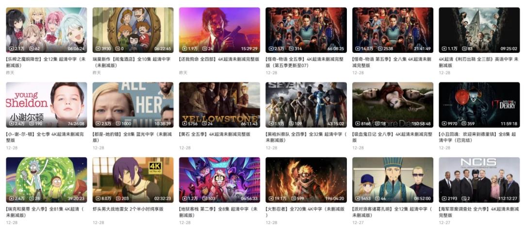 大卫大可以故事_大卫动画片大全视频_