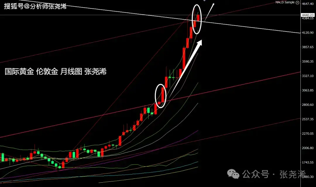 _金价动荡_黄金的牛市