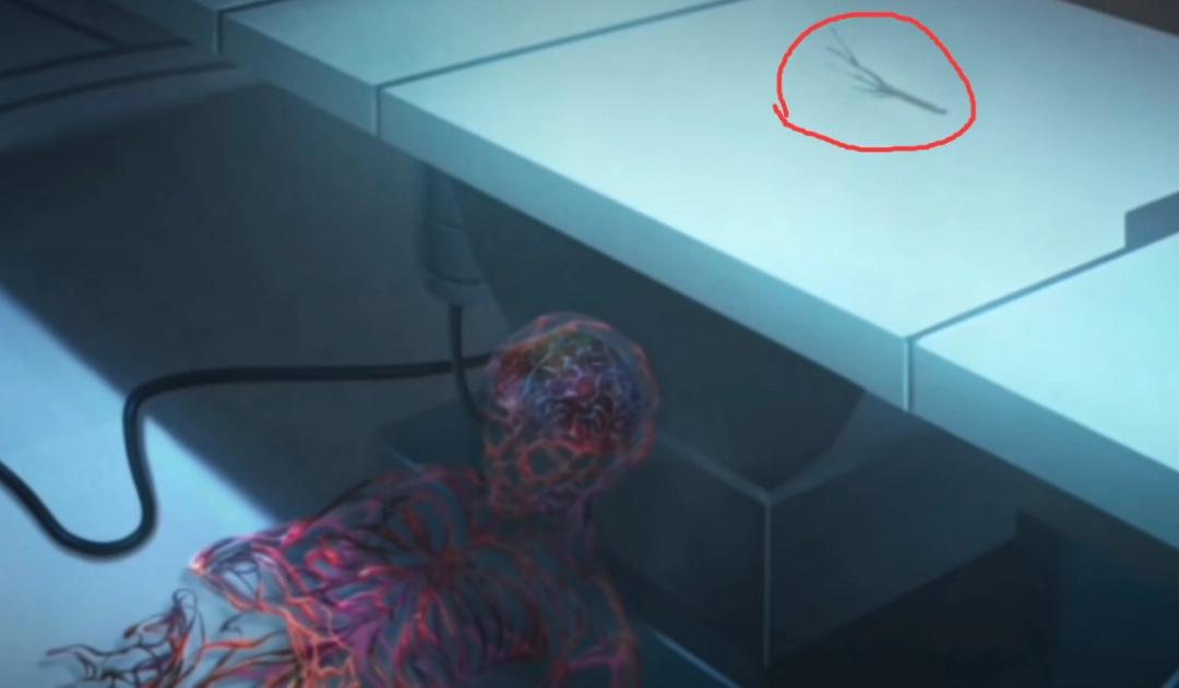 黎明出生时间__黎明出现