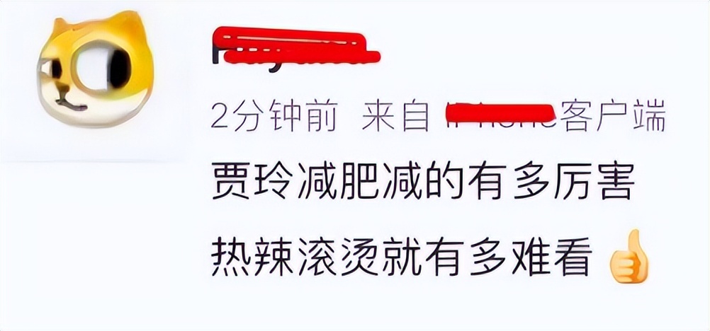 _春晚中断过吗_春晚回应