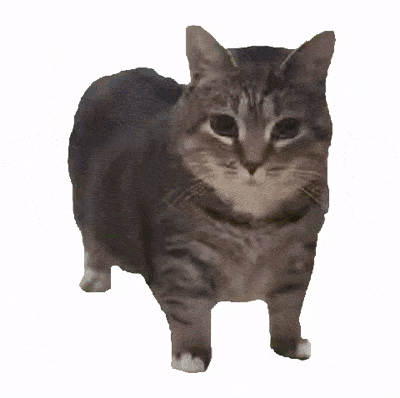 _萝卜猫图片_萝卜猫最可爱