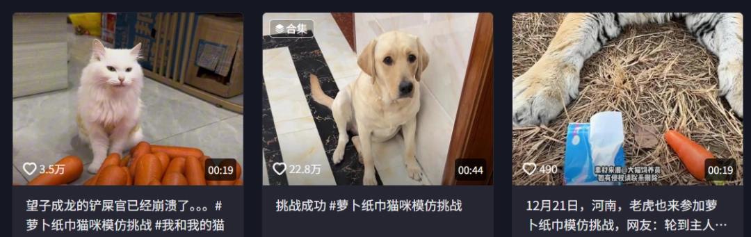 萝卜猫图片__萝卜猫最可爱