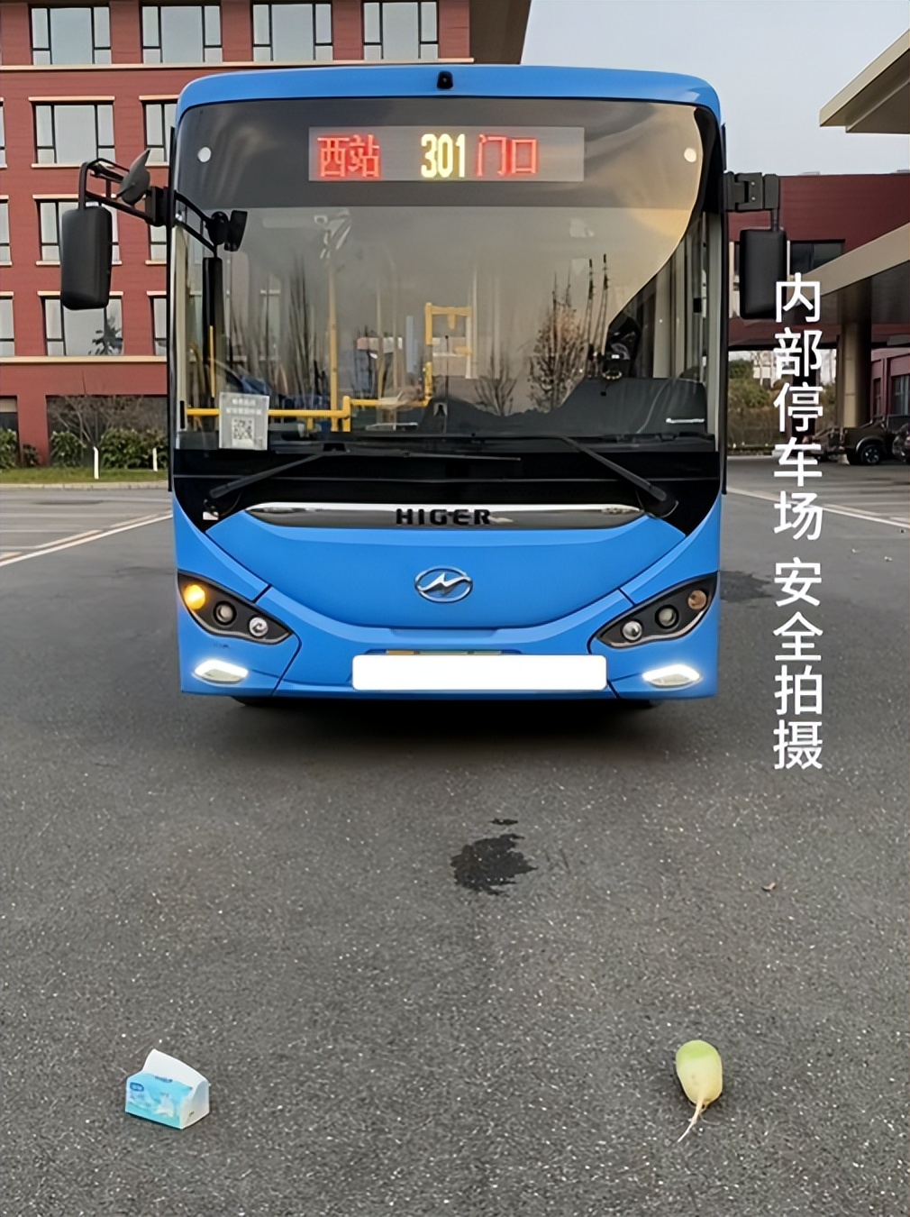 萝卜猫图片_萝卜猫最可爱_