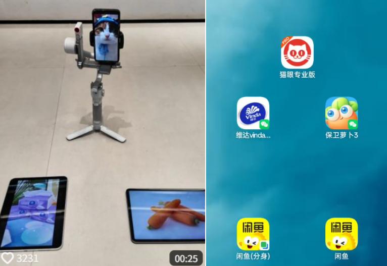 _萝卜猫图片_萝卜猫最可爱