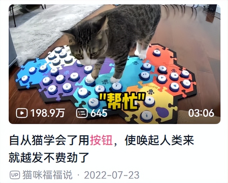 _萝卜猫最可爱_萝卜猫图片
