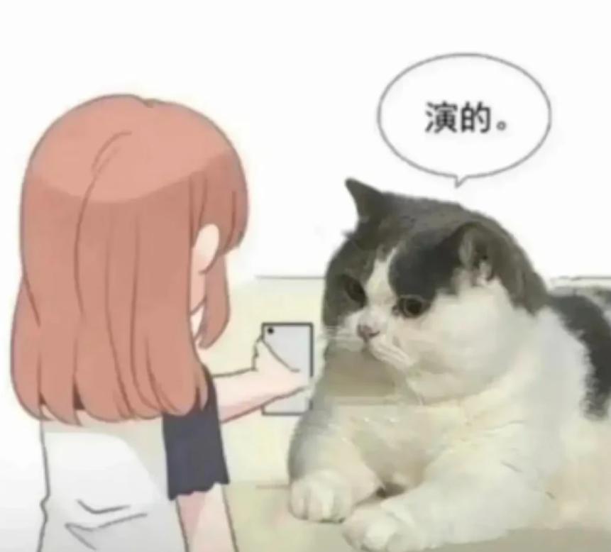 萝卜猫图片_萝卜猫最可爱_