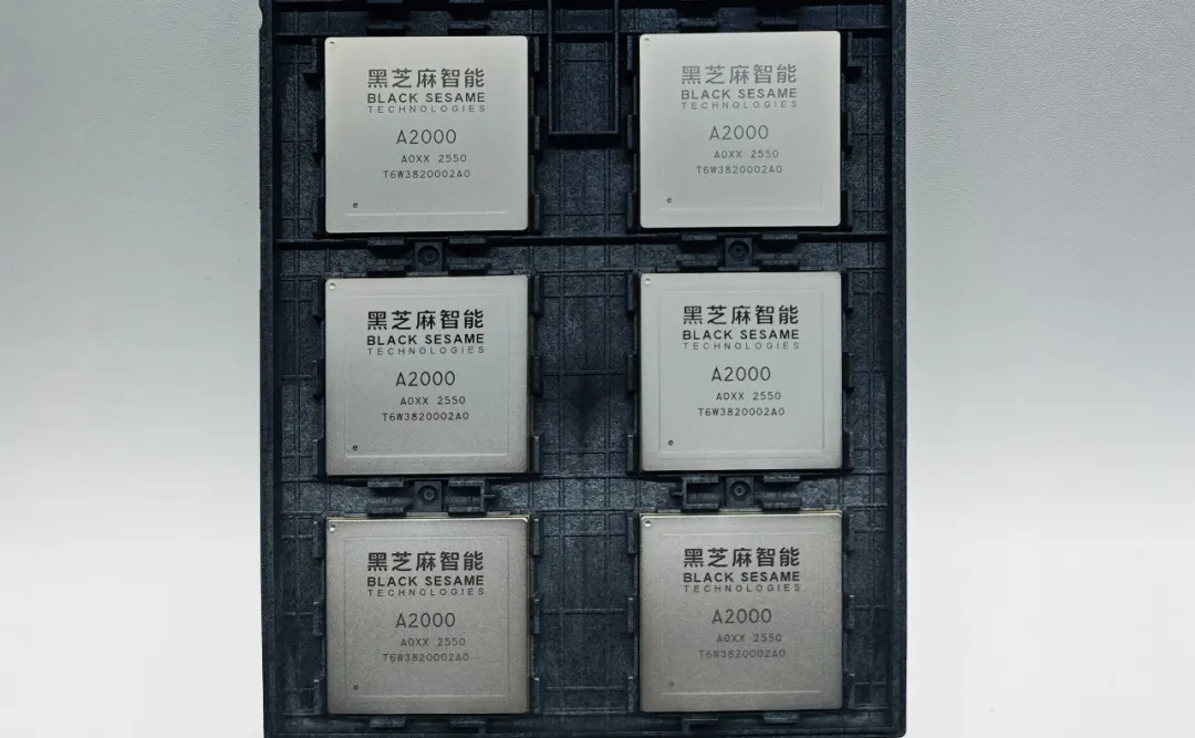 政府信息公开保密审查自查报告__政府信息公开审查