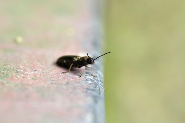 徐湖渰什么意思_徐湖平院长_