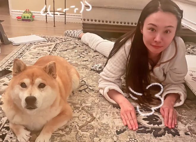 _郑爽的脸还好吗_郑爽的脸撑不了多久了