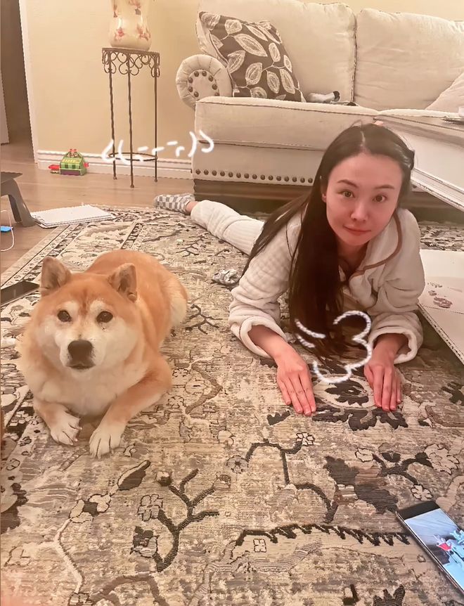 郑爽的脸还好吗_郑爽的脸撑不了多久了_