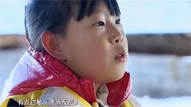 谒长意惊茶_撰长书以为贽特殊句式_