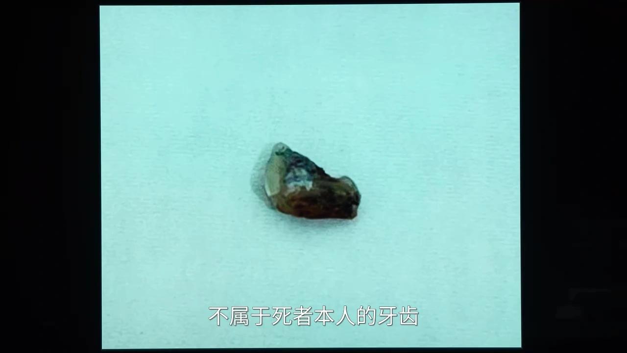 《人之初》18集结局：吴国豪殒命，徐志阳没死，高风吴飞飞是兄妹_《人之初》18集结局：吴国豪殒命，徐志阳没死，高风吴飞飞是兄妹_