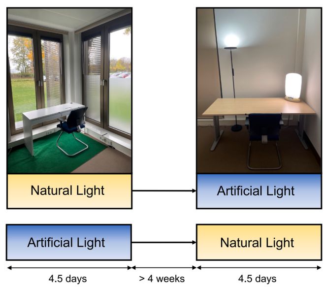 人一定要多晒太阳！Cell子刊：办公室有窗没窗，血糖真的不一样！（还能助燃脂__人一定要多晒太阳！Cell子刊：办公室有窗没窗，血糖真的不一样！（还能助燃脂
