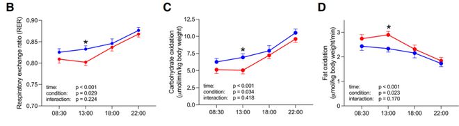 _人一定要多晒太阳！Cell子刊：办公室有窗没窗，血糖真的不一样！（还能助燃脂_人一定要多晒太阳！Cell子刊：办公室有窗没窗，血糖真的不一样！（还能助燃脂