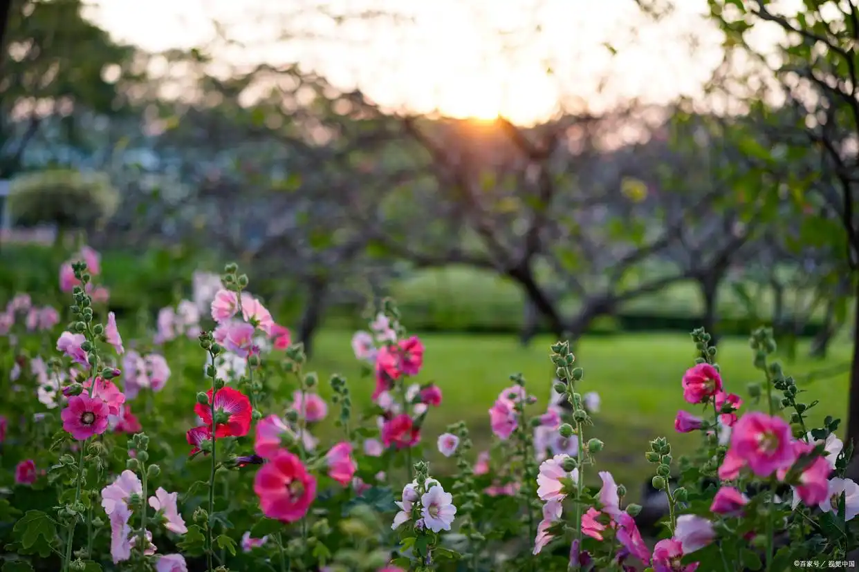 每天想着你夜里梦到你__想你总是在梦里