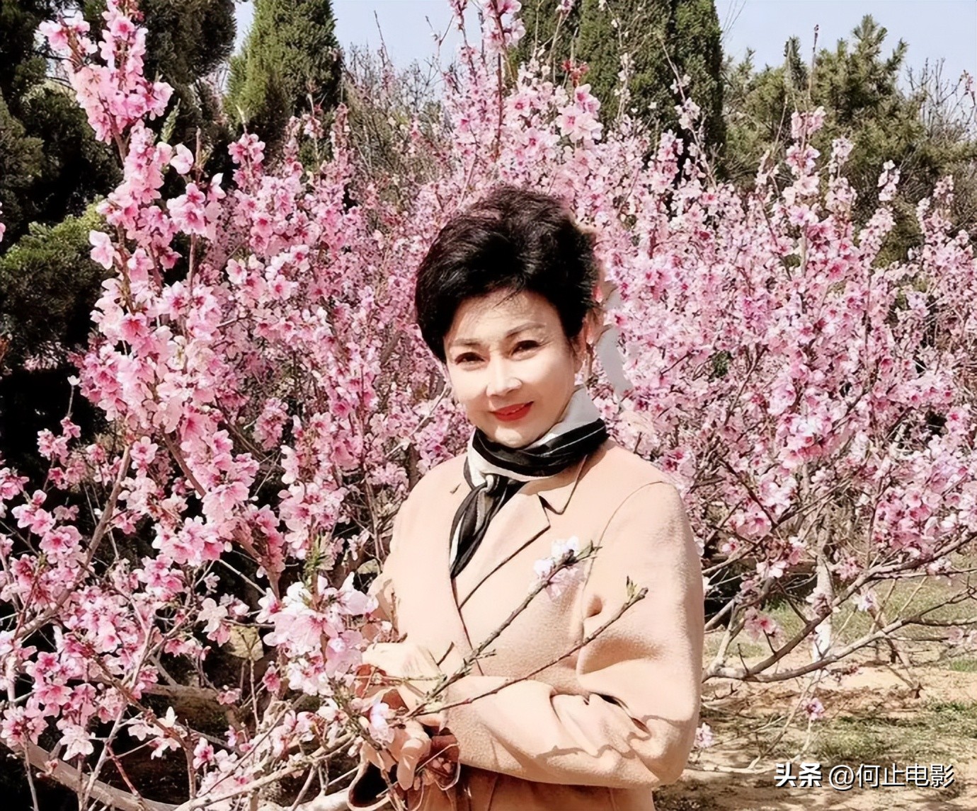 _她的地位比肩赵忠祥，一辈子未婚无儿无女，却被称为了不起的人_她的地位比肩赵忠祥，一辈子未婚无儿无女，却被称为了不起的人