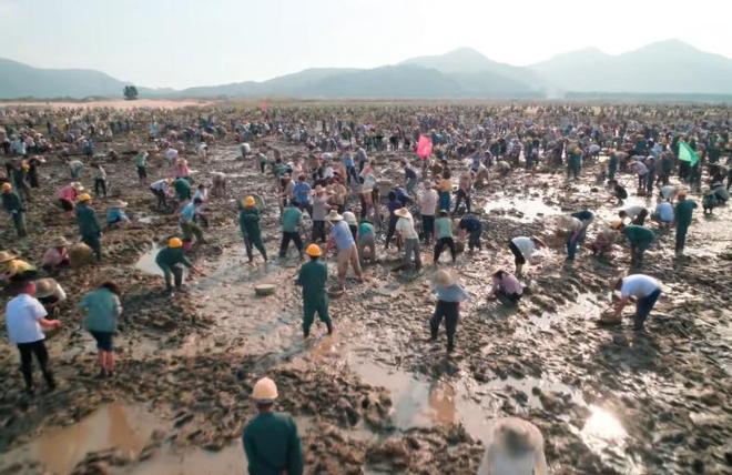 今晚电视剧节目_今晚几点开播_