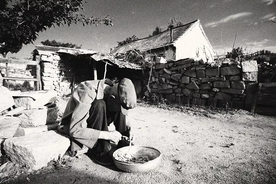 以后踏踏实实过日子说说__踏实踏以后辈子跟着实过的成语