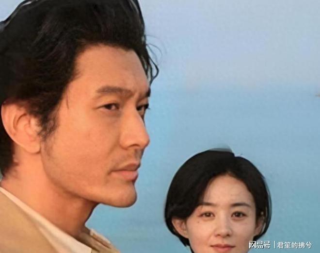 _赵丽颖收视率保证_赵丽颖看