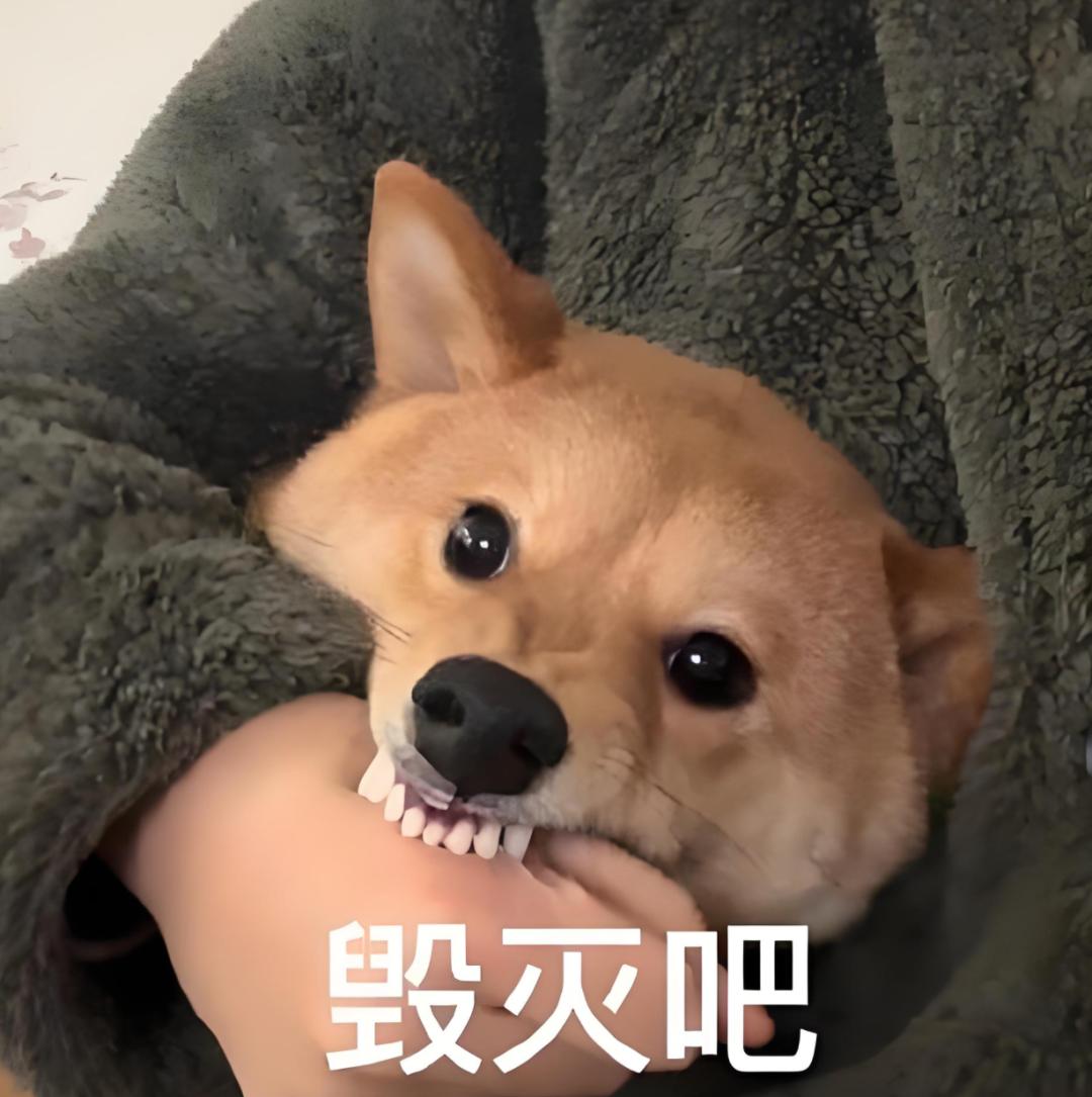 丁兰刻木事亲_新警事2亲亲的演员_