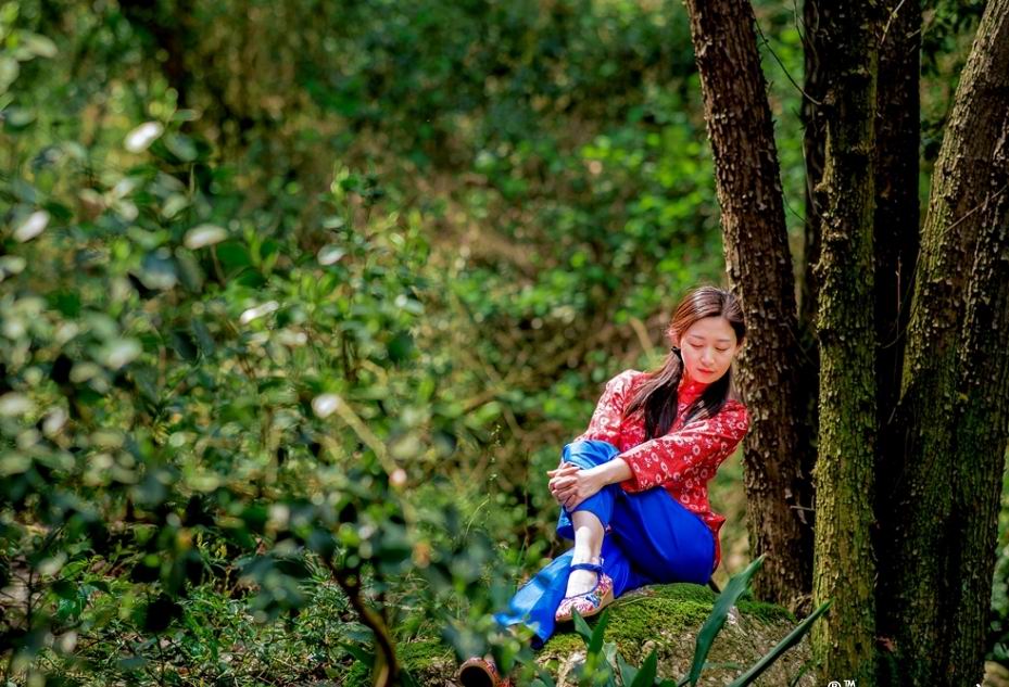 _大山的妹子是什么歌_世上无难事只要肯登攀作文