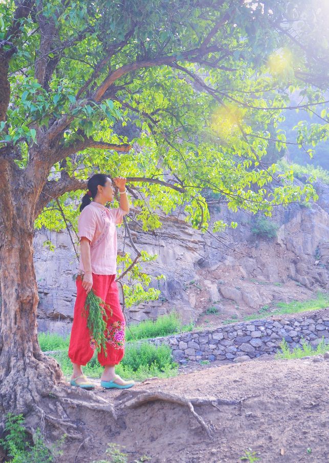 _大山的妹子是什么歌_世上无难事只要肯登攀作文