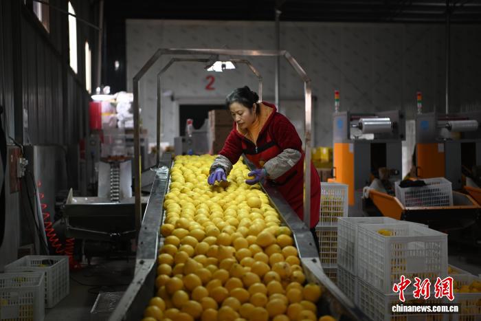 （经济观察）重庆涉农出海正当其时_（经济观察）重庆涉农出海正当其时_
