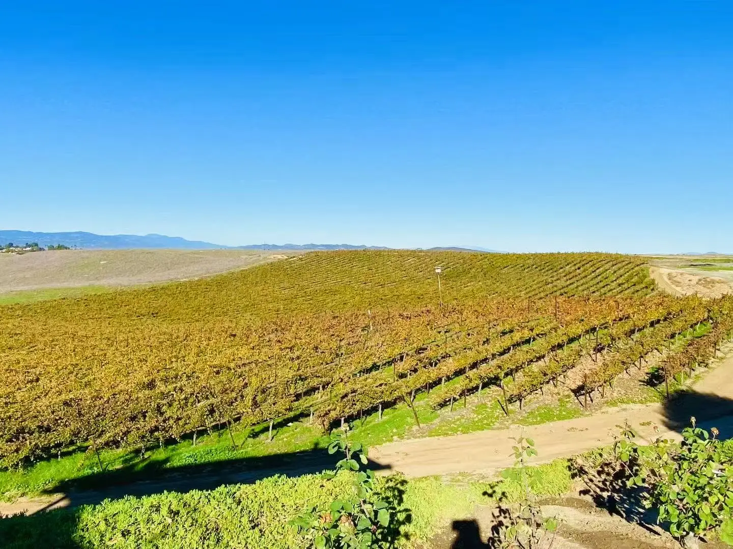 光伏产品出口退税是多少_光伏组件退税_