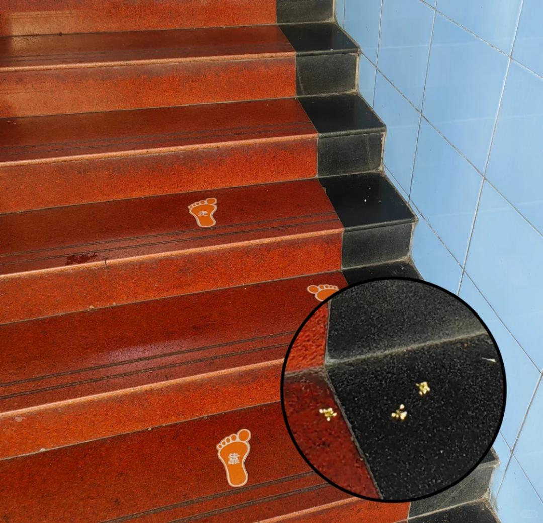 垃圾桂花树__远离垃圾人微信疯转