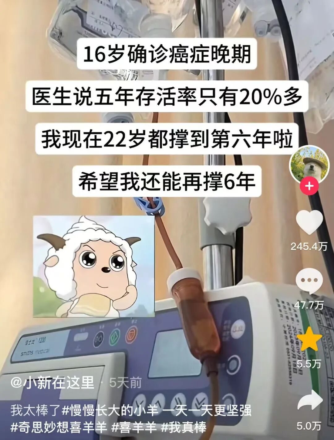 _全网群嘲的“娇妻小饭桌”事件：新型洗脑，祸害多少中国女性_全网群嘲的“娇妻小饭桌”事件：新型洗脑，祸害多少中国女性