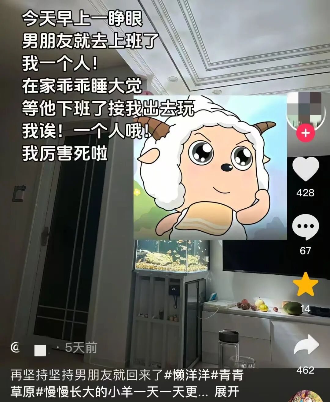 全网群嘲的“娇妻小饭桌”事件：新型洗脑，祸害多少中国女性__全网群嘲的“娇妻小饭桌”事件：新型洗脑，祸害多少中国女性