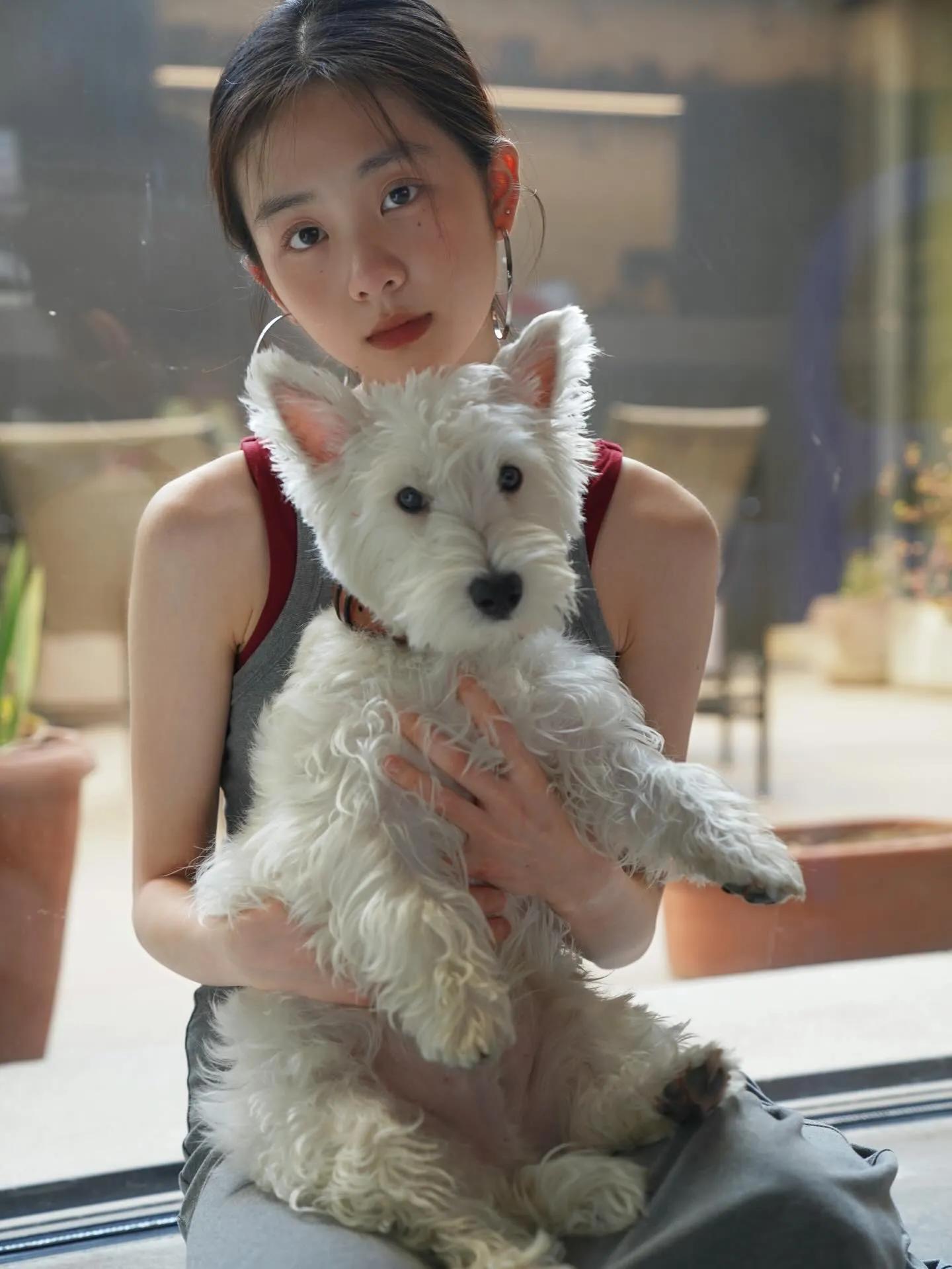 黄磊叫多多全名_黄磊的狗狗乖乖_